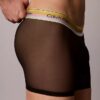 Boxer aderenti Icon Mesh Pride