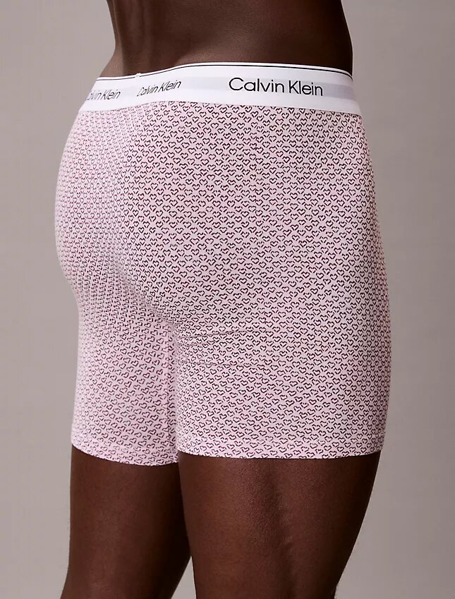Boxer Brief in cotone Cotton Stretch, edizione limitata Boxer Brief in cotone Cotton Stretch, edizione limitata