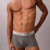 Boxer elasticizzato Low Rise Trunk in microfibra spazzolata Boxer elasticizzato Low Rise Trunk in microfibra spazzolata