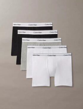 Boxer Icon Cotton Stretch 5-Pack Boxer Brief