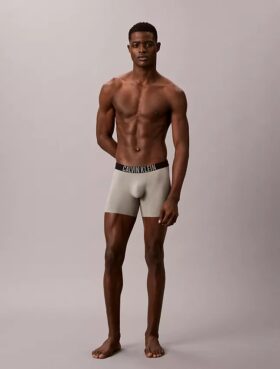 Boxer Intense Power Motion Boxer Brief
