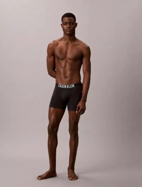 Boxer Intense Power Motion Boxer Brief