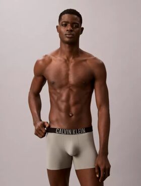Boxer Intense Power Motion Boxer Brief