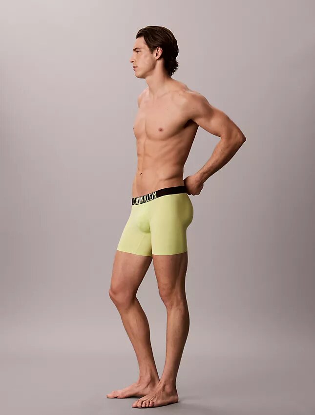 Boxer Intense Power Motion Boxer Brief Boxer Intense Power Motion Boxer Brief