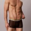 Boxer Low Rise Trunk Icon Mesh Pride