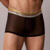 Boxer Low Rise Trunk Icon Mesh Pride