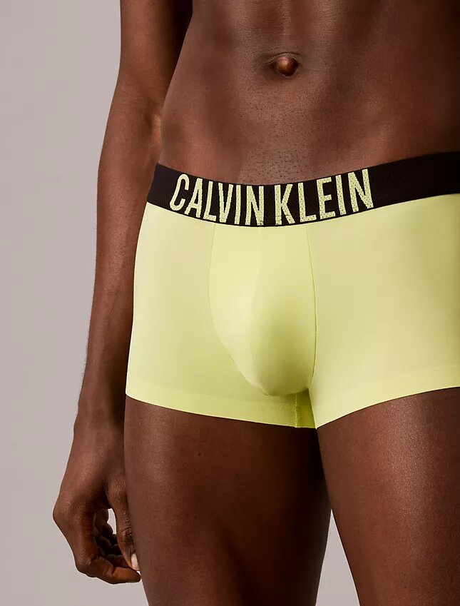 Boxer Low Rise Trunk Intense Power Motion Boxer Low Rise Trunk Intense Power Motion