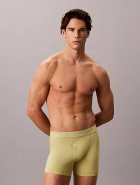 Boxer Naturals in Cotton Stretch Trunk