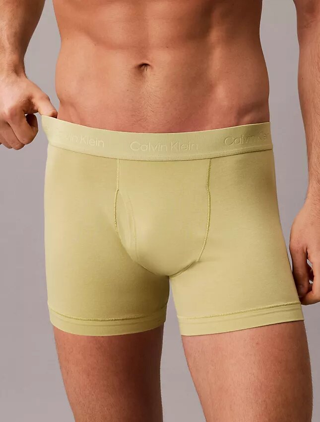Boxer Naturals in Cotton Stretch Trunk Boxer Naturals in Cotton Stretch Trunk
