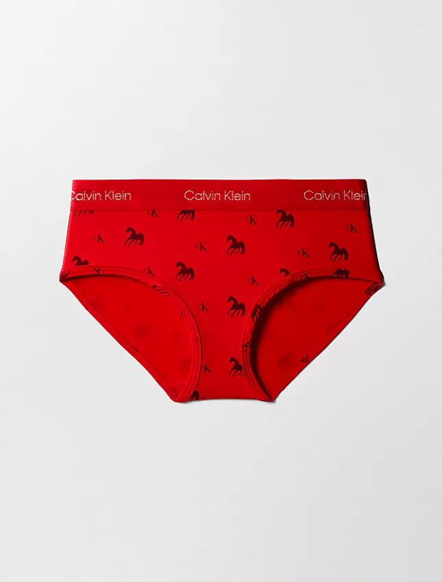 Hipster per il Capodanno lunare Hipster per il Capodanno lunare