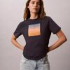 Maglietta classica con grafica tramonto Maglietta classica con grafica tramonto