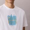 Maglietta moderna con logo grafico Calvin Klein Maglietta moderna con logo grafico Calvin Klein