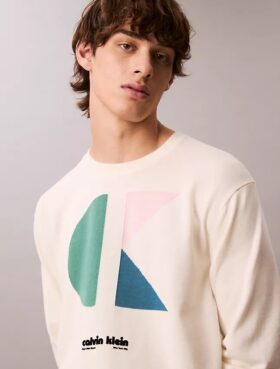 Maglione classico con grafica a blocchi di colore e logo
