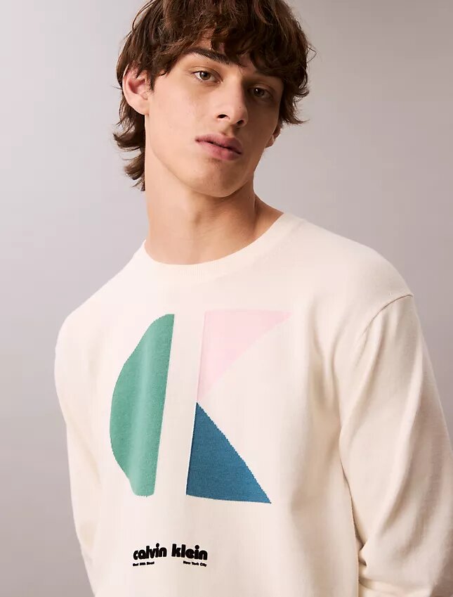 Maglione classico con grafica a blocchi di colore e logo Maglione classico con grafica a blocchi di colore e logo