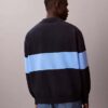 Maglione polo in cotone dalla vestibilità comoda