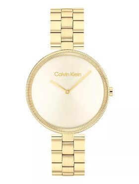 Orologio con bracciale a maglie minimaliste
