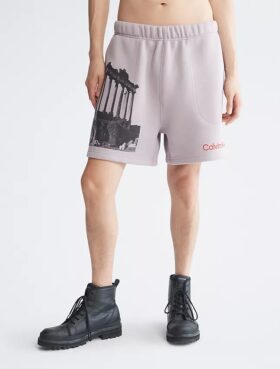 Pantaloncini in pile con stampa grafica Standards Ruins