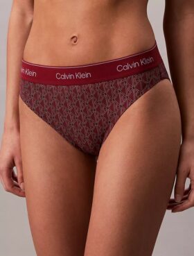 Slip da bagno con logo moderno per il Bikini Slip da bagno con logo moderno per il Bikini