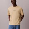 T-shirt classica a girocollo con grafica del logo in tinta sbiadita
