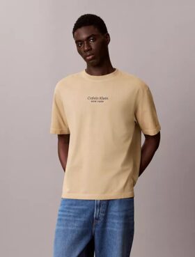 T-shirt classica a girocollo con grafica del logo in tinta sbiadita