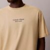 T-shirt classica a girocollo con grafica del logo in tinta sbiadita