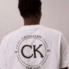 T-shirt classica con grafica a cerchio del logo
