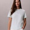 T-shirt classica con grafica a strati del logo T-shirt classica con grafica a strati del logo