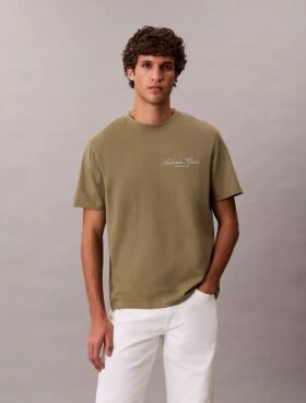 T-shirt classica con grafica e logo in caratteri piccoli