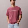 T-shirt classica con logo in minuscolo T-shirt classica con logo in minuscolo