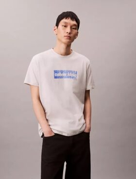 T-shirt classica con logo sbiadito