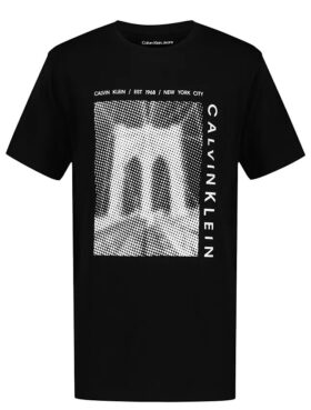 T-shirt classica da bambino con grafica del logo Bridge
