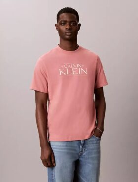 T-shirt dal taglio morbido con grafica del logo