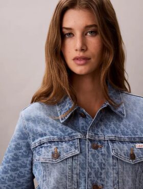 Trucker Jacket classica